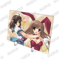 『涼宮ハルヒ』シリーズ A5アクリルパネル ハルヒ＆みくる